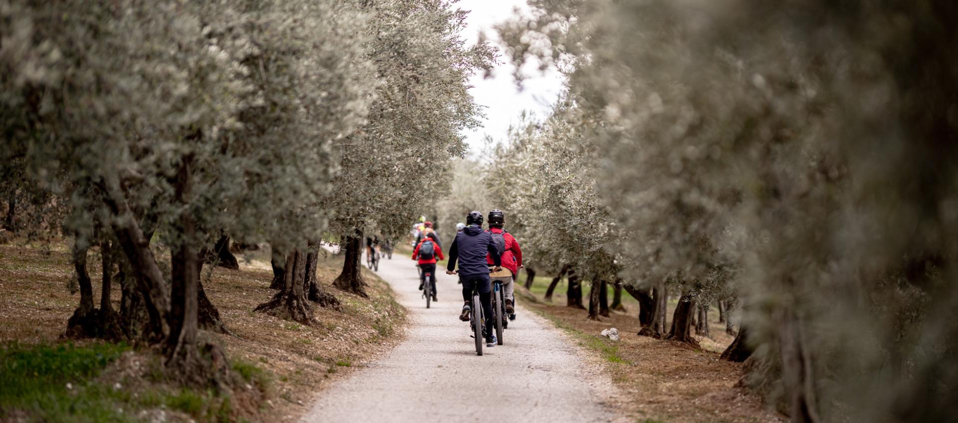  MIT DEM FAHRRAD DURCH UMBRIEN 